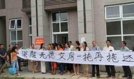 河南小区爆料新闻,业主爆料惊心动魄一幕